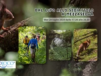 "Dal lupo allo scoiattolo " escursione guidata - Mezzaselva, 24 luglio 2024