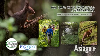 Escursione naturalistica a Mezzaselva sull'Altopiano di Asiago