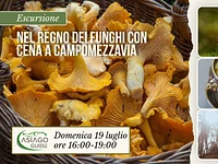 E04 Nel regno dei Funghi con cena a Campomezzavia 19 07 26