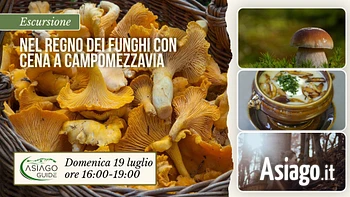e04 nel regno dei funghi con cena a campomezzavia 