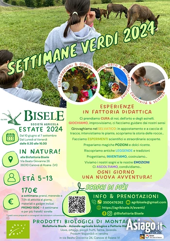 Biofattoria bisele settimane verdi 2024