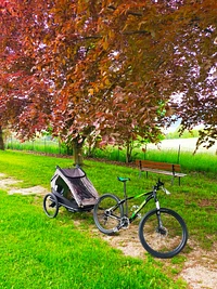Esperienza in bici per tutta la famiglia con Free Time