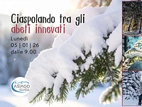 W28 Ciaspolando tra gli abeti innevati 05 01 26