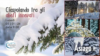 w28 ciaspolando tra gli abeti innevati 05 01 26