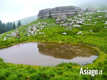 Escursione guidata sul Monte Fior sull'Altopiano di Asiago