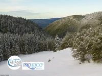 Fotoabend "Entdecken Sie die Wälder in Mezzaselva" - 30. Dezember 2023