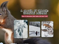 A caccia di tracce: incontri animali | Dom 15 dicembre 2024 dalle 9.00