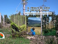 "Il Fronte di Vaia a Treschè Conca" escursione guidata - 30 luglio 2024