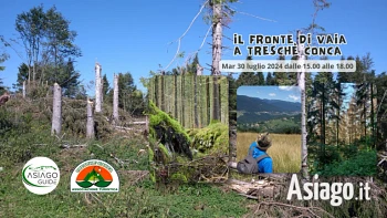 Escursione lungo Il fronte di Vaia con Asiago Guide