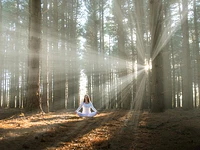 “Bagno di foresta: il respiro del bosco” esperienza terapeutica nel bosco - Cesuna, domenica 19 luglio 2026