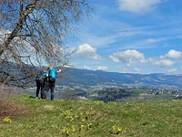 Panorami da cartolina a Treschè Conca