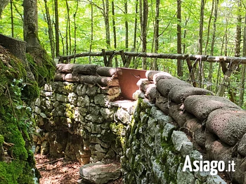 Alla scoperta delle trincee escursione sull'Altopiano di Asiago
