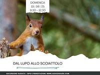 Dal Lupo allo Scoiattolo | Domenica 15 giugno 2025 dalle 9.30