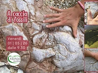 S11 A caccia di fossili escursione ad Asiago 01 05 26