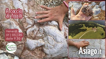s11 a caccia di fossili escursione ad asiago 01 05
