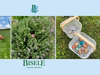 Egg hunt at Biofattoria Bisele - Friday 29 March from 4.30 pm