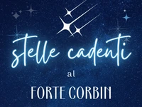 Shooting stars at Corbin Fort, guided tour and dinner - Saturday, august 5, 2023