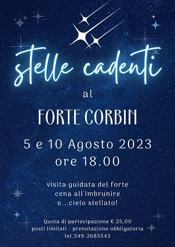 Stelle cadenti