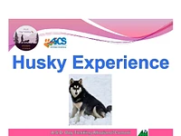 Husky Experience a Mezzaselva di Roana - domenica 5 gennaio 2025