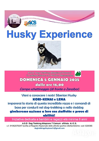 Husky experience a Mezzaselva