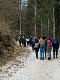 School groups to discover the nature of the Plateau with Biosphaera
