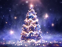 ACCENSIONE DELL'ALBERO DI NATALE A ROANA - domenica 8 dicembre 2024