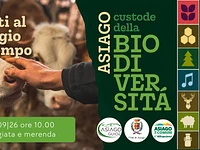 A07 Dai prati al formaggio di un tempo 120926