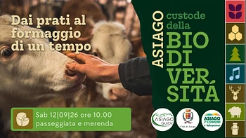 A07 Dai prati al formaggio di un tempo 120926