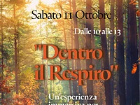 Dentro il respiro esperienza immersiva a Mezzaselva di Roana