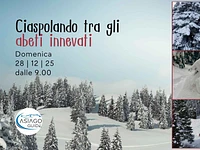 W63 Ciaspolando tra gli abeti innevati 28 12 25