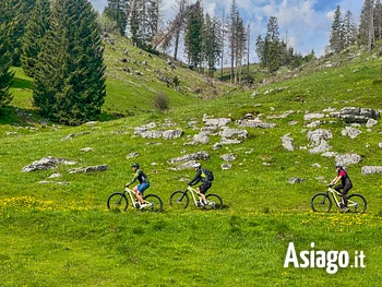 Escursione in ebike sull'Altopiano di Asiago lungo il sentiero dei cippi
