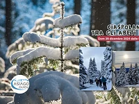 Ciaspolando tra gli abeti innevati | Domenica 29 dicembre 2024 dalle 9.00