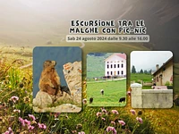 Escursione tra le malghe con pic-nic - Sabato 24 agosto 2024 dalle 9.30 
