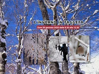 L'inverno in faggeta: ciaspolata guidata | Domenica 26 gennaio 2025 dalle 9.30