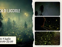 E01 Escursione alla ricerca di Lucciole 04 07 26