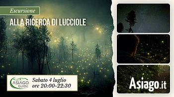 e01 escursione alla ricerca di lucciole 04 07 26