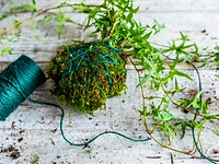 Workshop "TISANE UND KOKEDAMA" in Treschè Conca - 26. Juli 2023