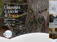 W17 Ciaspolata a caccia di tracce 31 12 25