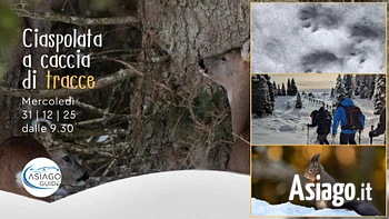 w17 ciaspolata a caccia di tracce 31 12 25