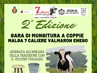"GARA DI MUNGITURA A COPPIE" A MALGA 7 CALIERE 1° LOTTO VALMARON - Enego, 9 AGOSTO 2024
