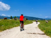 Guided E-bike tour "Marcesina, a plain to live" - Rifugio Valmaron, Enego, 8 September 2024