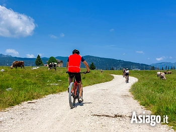 tour in ebike a marcesina con il noleggio ebike va