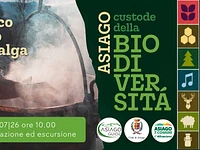 A03 Dal bosco al fuoco della malga 04 07 26