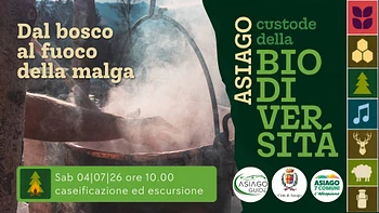 a03 dal bosco al fuoco della malga 04 07 26