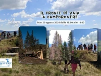 "Il Fronte di Vaia a Camporovere" escursione guidata - 20 agosto 2024