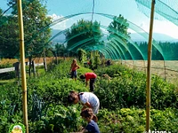 Settimana verde per bambini a Il Cason delle meraviglie di Treschè Conca - dal 14 al 18 luglio 2025