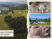 E07 A caccia di fossili a cima Ekar 26 07 26