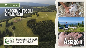 E07 A caccia di fossili a cima Ekar 26 07 26