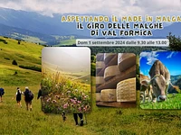 Aspettando il Made in Malga: malghe della Val Formica - Sabato 1 settembre 2024 dalle 9.30 