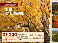 F02 TUTTI I COLORI DELLE CONTRADE
